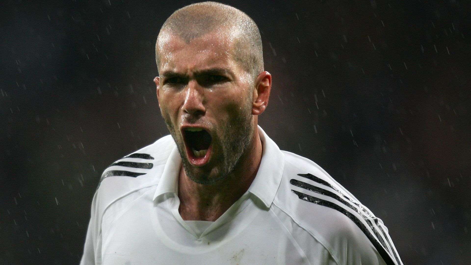 龄相对较轻 龄相对较轻